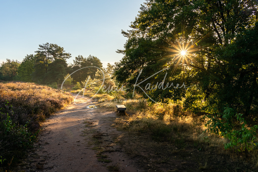 Pictrs-7M401179-ARW_DxOPureRAW-2 | Denis Kauderer - Kauderer-Pictures. Besondere Landschaftsbilder - Realisiert mit Pictrs.com