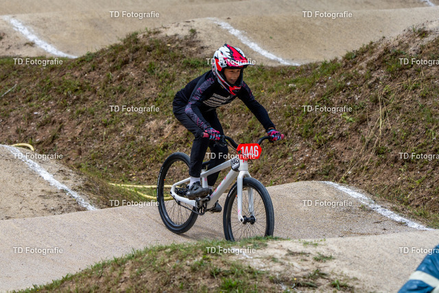 BayBMX2026-05825 | Fotogalerie von Thomas Dettweiler mit Eventbildern und lizenzfreien Fotos. Perfekt als Wandbild, für Büro, Website oder private Nutzung. - Realisiert mit Pictrs.com