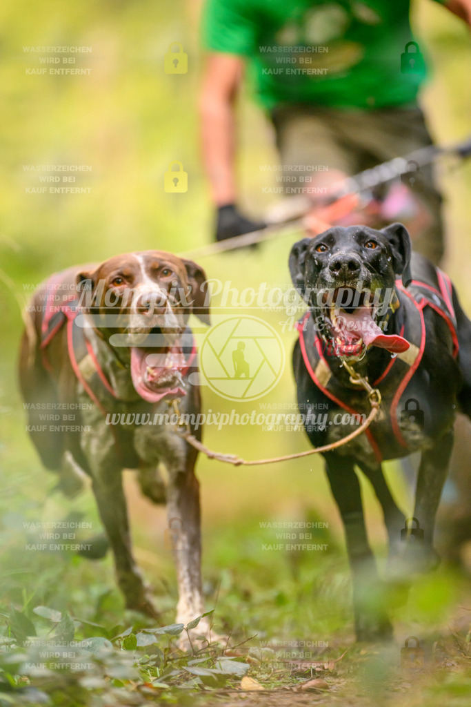 MompixPhotography_Yens2025_B2-48 | PayLife