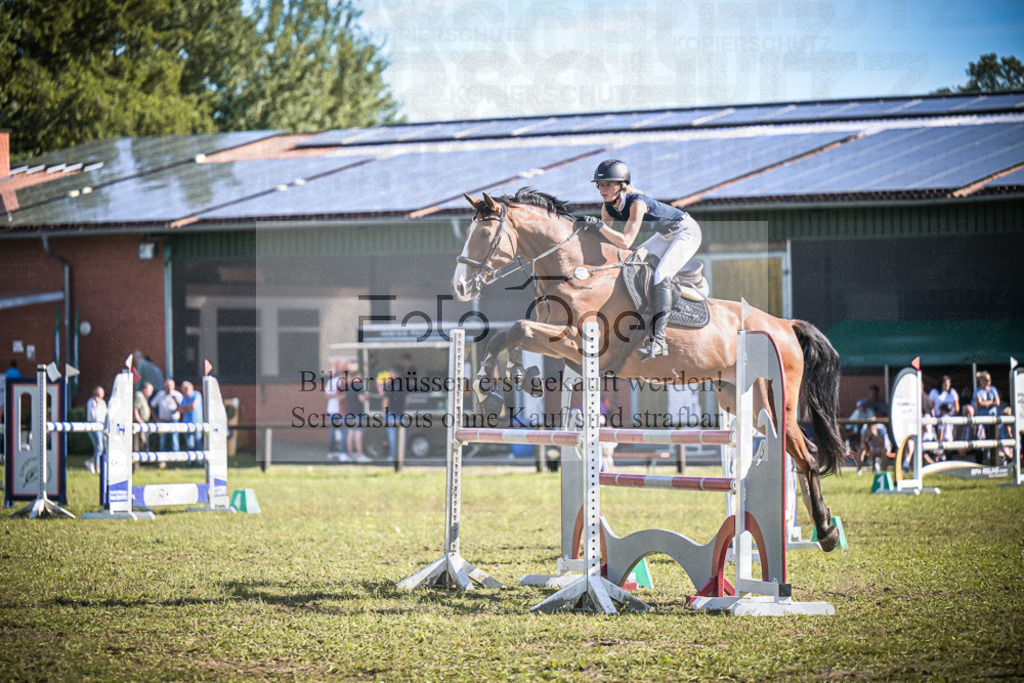 DOS_1240 | Entdecke hochwertige Reitturnierfotos von Foto Oger. Professionell, emotional und authentisch – jetzt Lieblingsmomente im Shop bestellen.Deutschlandweite Turnierfotografie. - Realisiert mit Pictrs.com