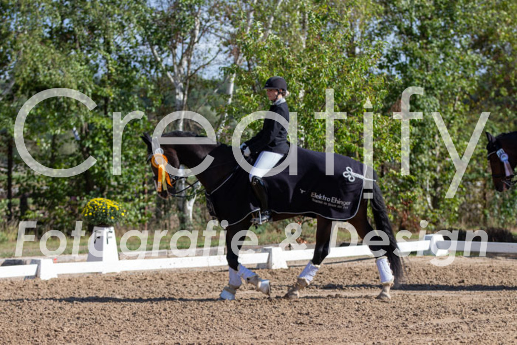 IMG_5240 | Creatify Fotografie