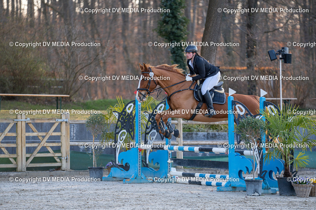 DSC-257 | dv-media-shop - Realisiert mit Pictrs.com