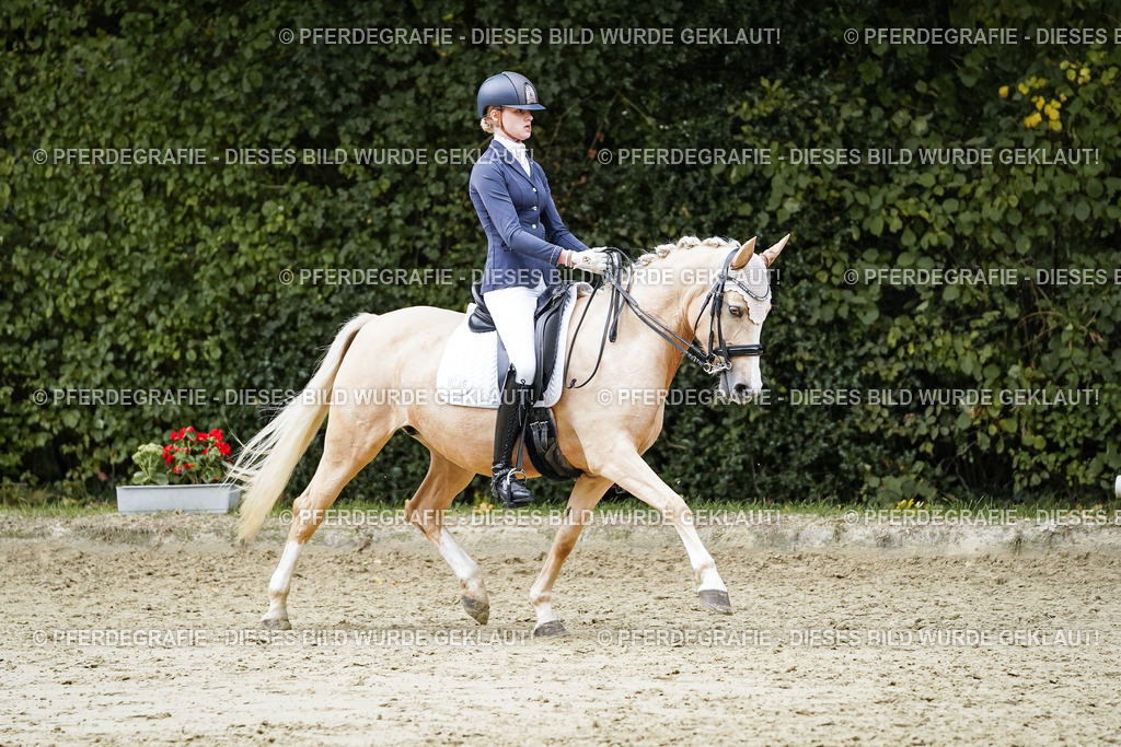 DSC07490 | Pferdegrafie