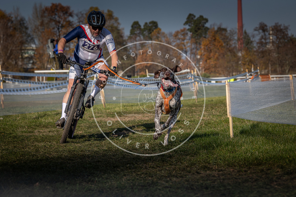 CaniXpix_0L8A6673 | Hundefotografie, Tierfotograf, Pfotenfotografie, Fotoshooting Hund, Hunde Portrait, Hundesport, Hundeportraits, Heideshooting, Hunde, Sportfotograf, Hundefotograf, Turnierhundsport, THS,  - Realisiert mit Pictrs.com
