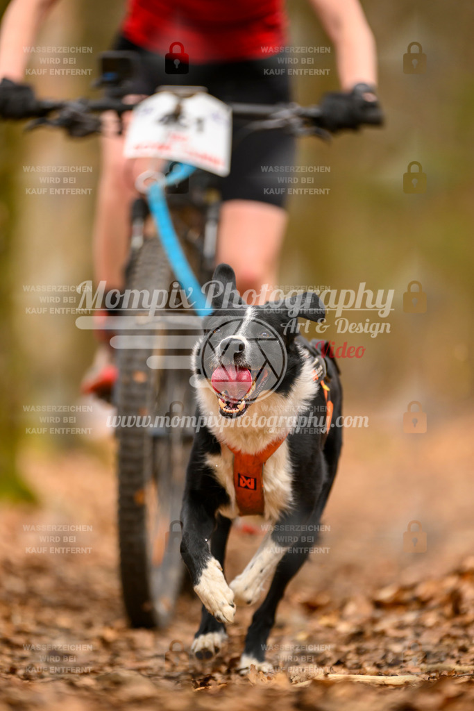 MompixPhotography_Habay2025_SA_Bike-152 | PayLife