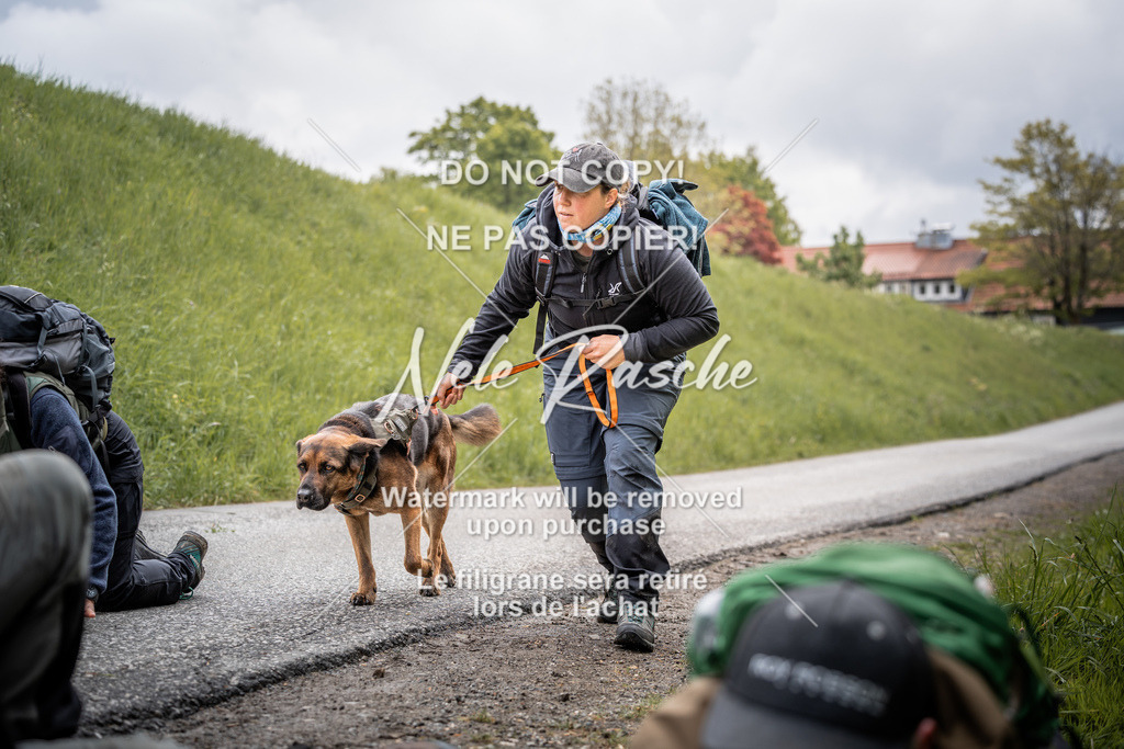nelerasche_SoZieleinlauf_195 | nelerasche