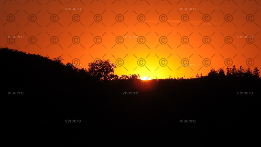 DSCN1942 | viscero