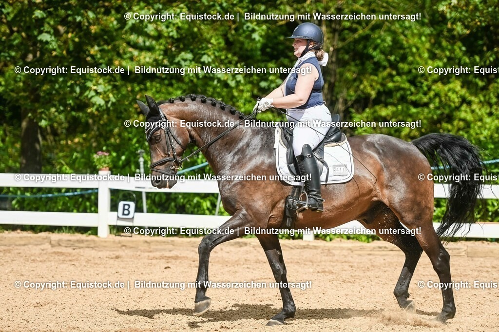 20230715_02_Dressurreiterprüfung Kl.L_0379 | equistock