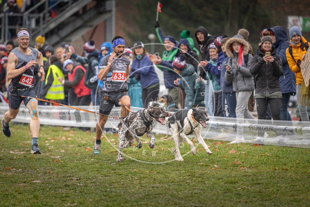 CaniXpix_DV3A9815 | Hundefotografie, Tierfotograf, Pfotenfotografie, Fotoshooting Hund, Hunde Portrait, Hundesport, Hundeportraits, Heideshooting, Hunde, Sportfotograf, Hundefotograf, Turnierhundsport, THS,  - Realisiert mit Pictrs.com