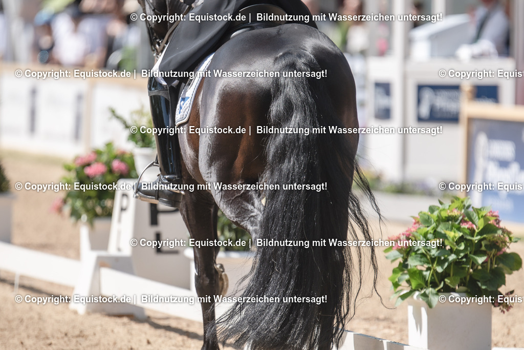20230529_Impressionen_0003 | equistock