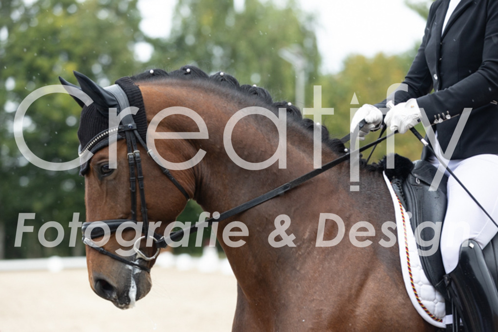 IMG_4583 | Creatify Fotografie