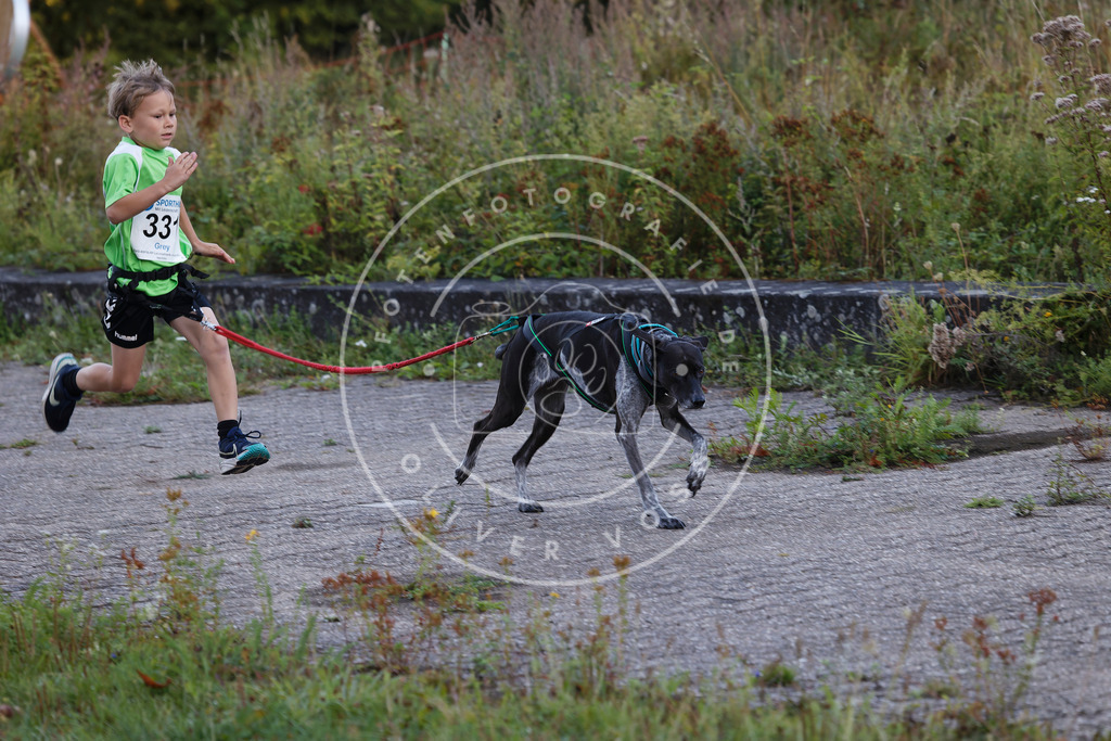 0L8A4218 | Hundefotografie, Tierfotograf, Pfotenfotografie, Fotoshooting Hund, Hunde Portrait, Hundesport, Hundeportraits, Heideshooting, Hunde, Sportfotograf, Hundefotograf, Turnierhundsport, THS,  - Realisiert mit Pictrs.com