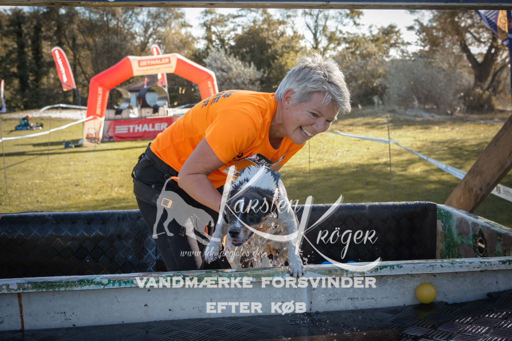 1204_ZZ94603 | kk-dogfotos