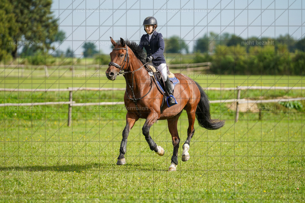 20230917-FAH09216 | Landsberg am Lech, 2023, Kaufbeuren, Kempten, Allgäu, Turnierfotografen Bayern, Fotoagentur Herrmann, Turnierbilder, Reitsport Fotos, Pferdefotograf, Augsburg, Bad Tölz, Dachau, Karlsfeld, Memmingen, Buchloe, Schwabmünchen