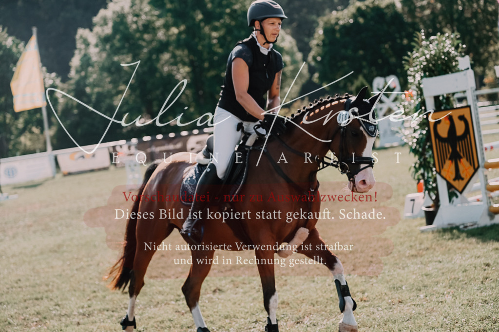 DSC_4749 | Pferde- und Turnierfotografie in Westsachsen. Pferdeportraits, Auftragszeichnungen und intuitive Kunst.