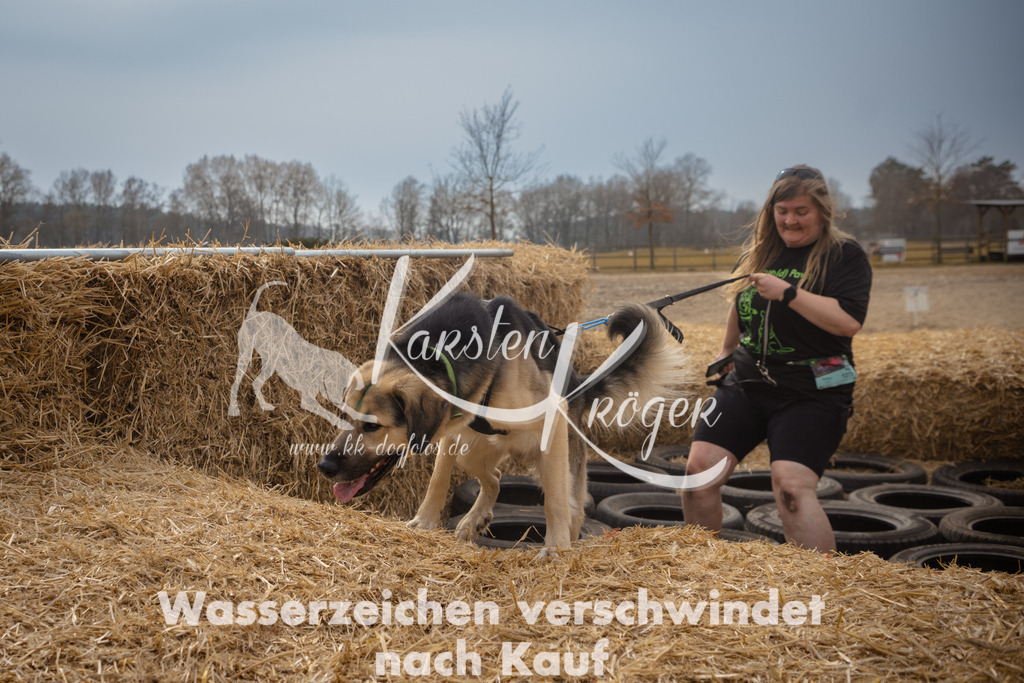 1225_ZZ95760 | kk-dogfotos