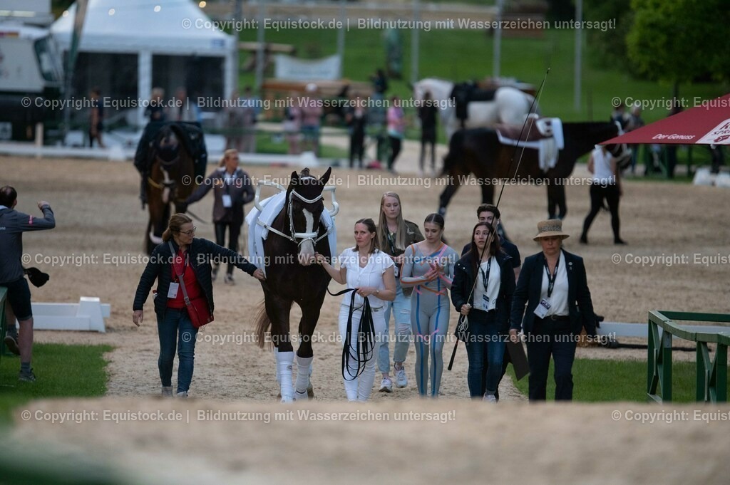 20230527_Voltigieren_NASPA_Flutlicht_0009 | equistock