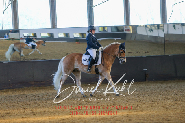 IMG_3238 | Turniersportfotografie; Pferdefotografie; Dressurfotografie