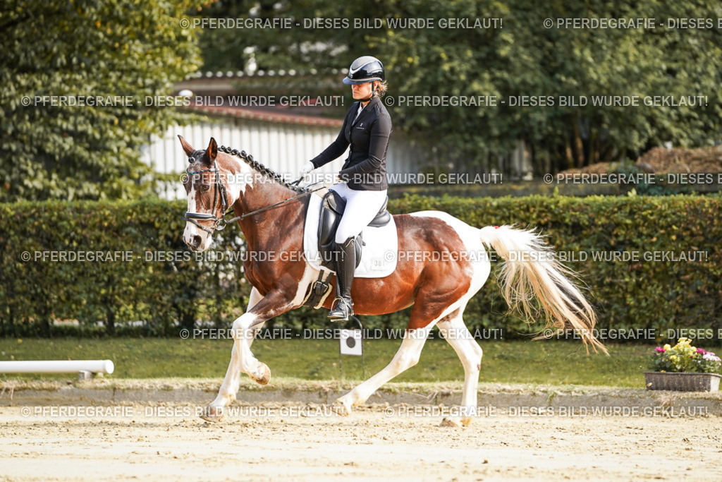 DSC05755 | Pferdegrafie