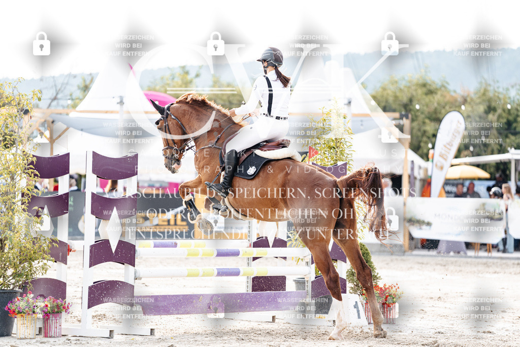 CK906932 | Turnierfotografie Pferdefotografie Trier Rheinland-Pfalz Pferdesport Reitsport Tierfotografie Sportfotografie Pferdevideo Pferdevideografie Equestrianvideography equestrianphotography  - Realisiert mit Pictrs.com