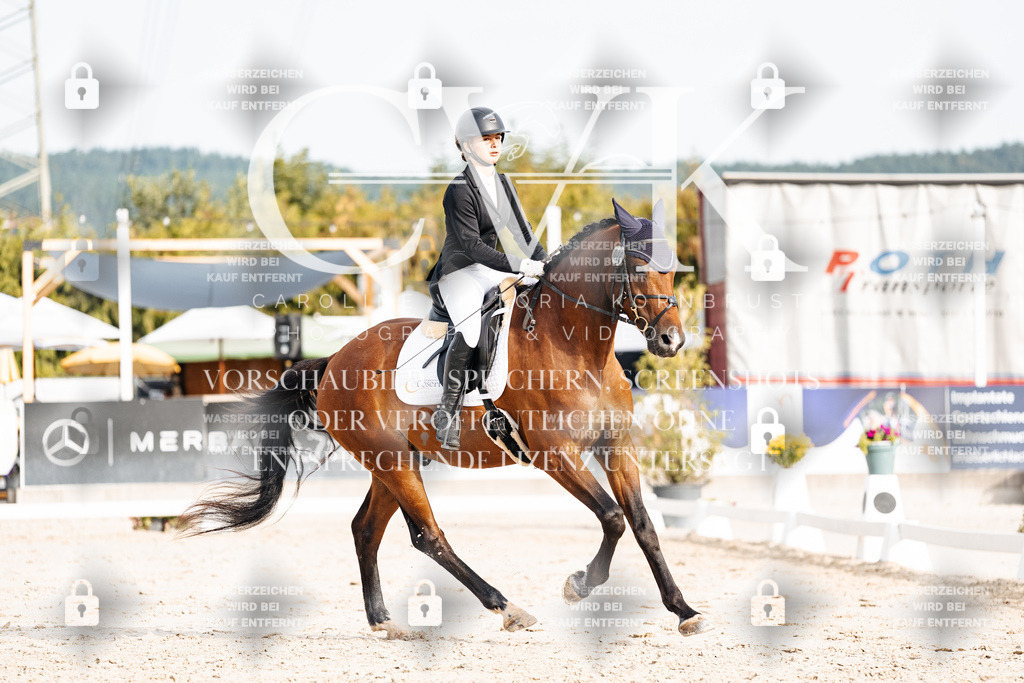 CK904070 | Turnierfotografie Pferdefotografie Trier Rheinland-Pfalz Pferdesport Reitsport Tierfotografie Sportfotografie Pferdevideo Pferdevideografie Equestrianvideography equestrianphotography  - Realisiert mit Pictrs.com