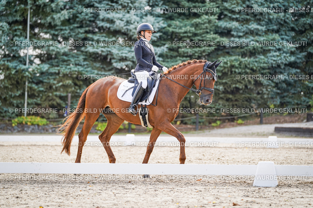 DSC00699 | Pferdegrafie