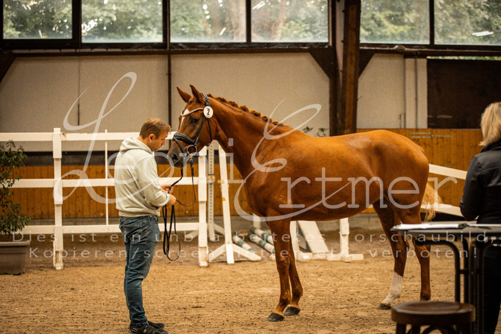 1FS_L00064 | Leoni Ertmer Photography - Realisiert mit Pictrs.com