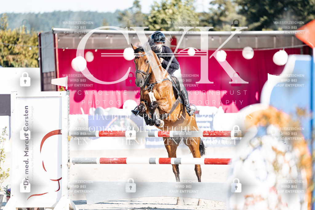 CK904268 | Turnierfotografie Pferdefotografie Trier Rheinland-Pfalz Pferdesport Reitsport Tierfotografie Sportfotografie Pferdevideo Pferdevideografie Equestrianvideography equestrianphotography  - Realisiert mit Pictrs.com