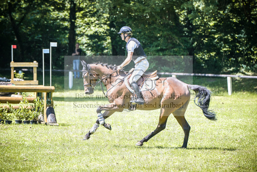 DOS_2228 | Entdecke hochwertige Reitturnierfotos von Foto Oger. Professionell, emotional und authentisch – jetzt Lieblingsmomente im Shop bestellen.Deutschlandweite Turnierfotografie. - Realisiert mit Pictrs.com