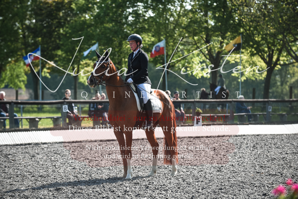 DSC_8760 | Pferde- und Turnierfotografie in Westsachsen. Pferdeportraits, Auftragszeichnungen und intuitive Kunst.