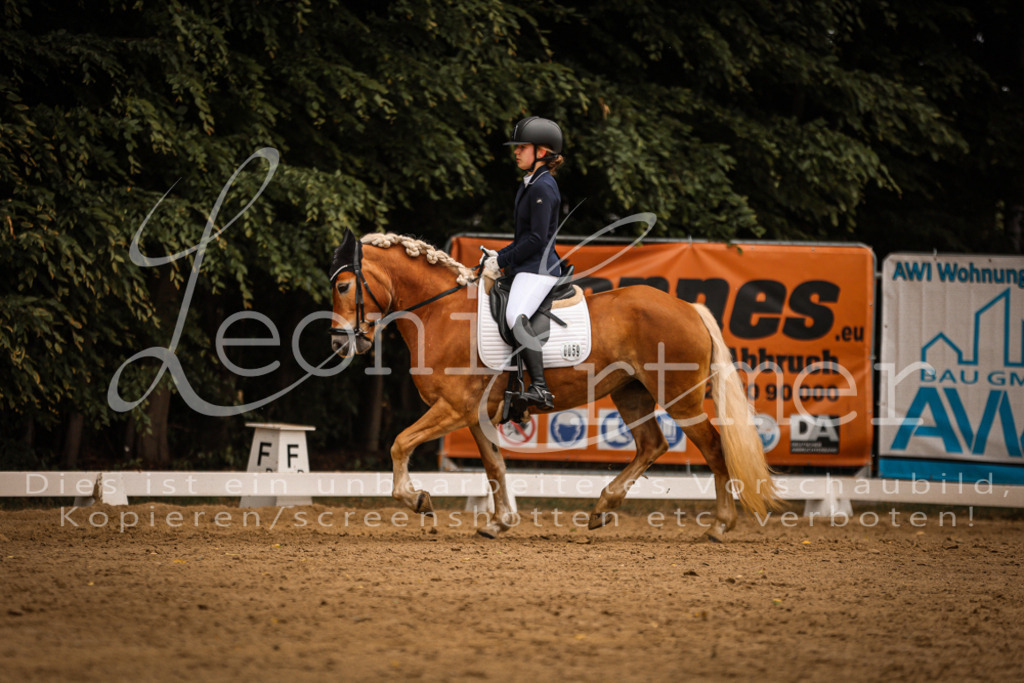 DoDrE00316 | Leoni Ertmer Photography - Realisiert mit Pictrs.com