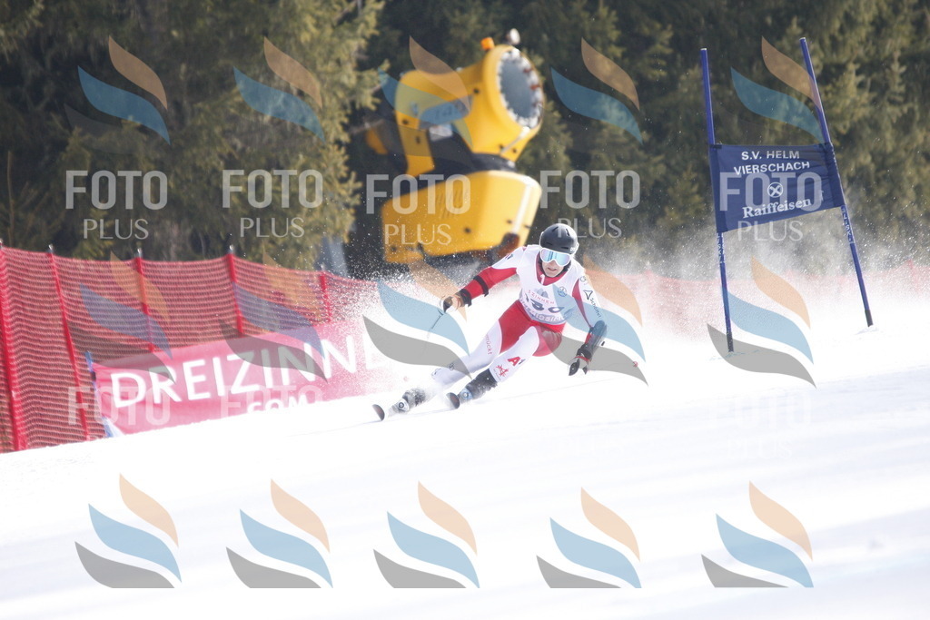 D6816 | holidayphoto