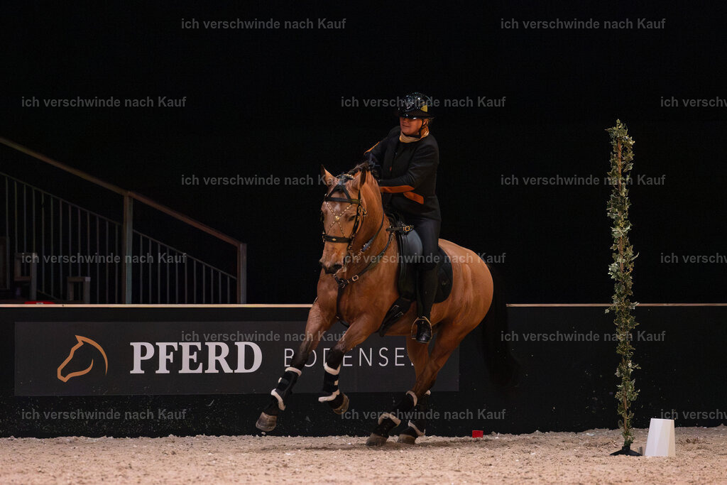 JoseraCup-218 | working equitationturnier fotograf videograf stoibphotography marixx film working equitation deutschland reitsport turnierfotografie eventfotografie equestrian events