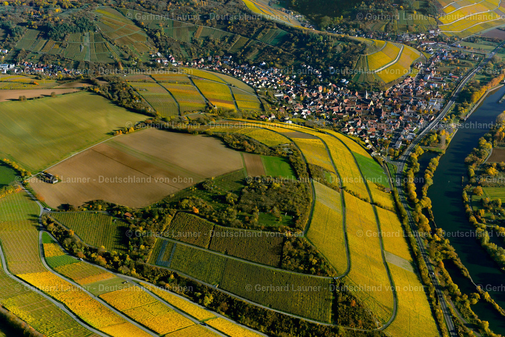 3503673 | Weinberge bei Randersacker