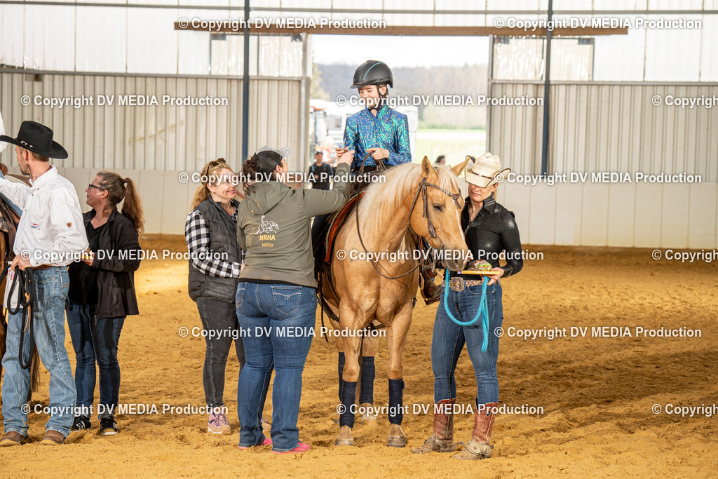 MIT01268 | dv-media-shop - Realisiert mit Pictrs.com