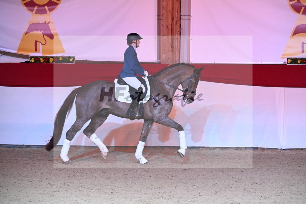 Valenziano_Müller_2254401 | hf-fotografie - Realisiert mit Pictrs.com