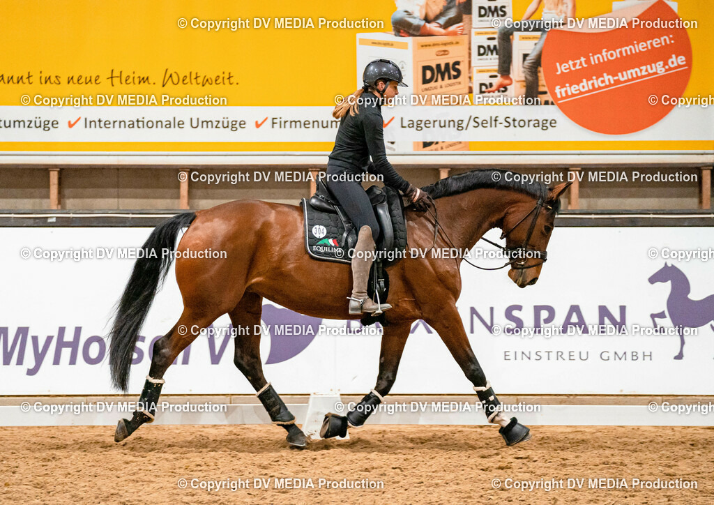 Kranichstein Tag 1-3 | dv-media-shop - Realisiert mit Pictrs.com