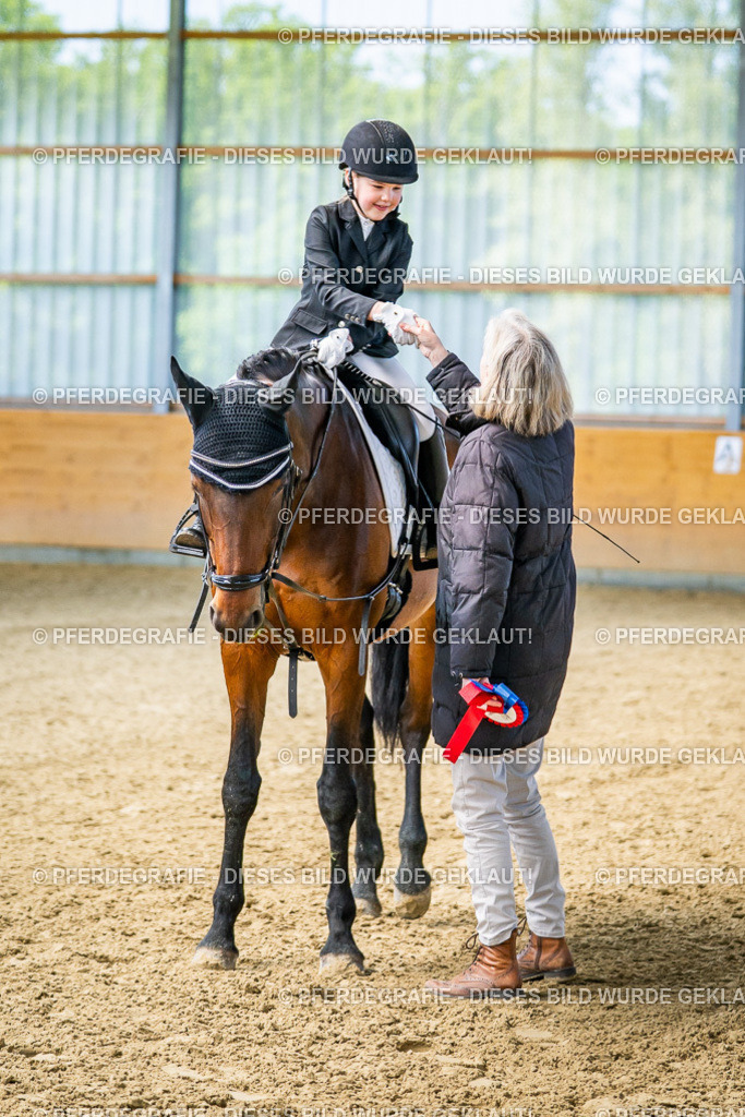 DSC02739 | Pferdegrafie