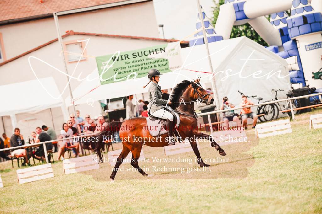 DSC_6925 | Pferde- und Turnierfotografie in Westsachsen. Pferdeportraits, Auftragszeichnungen und intuitive Kunst.