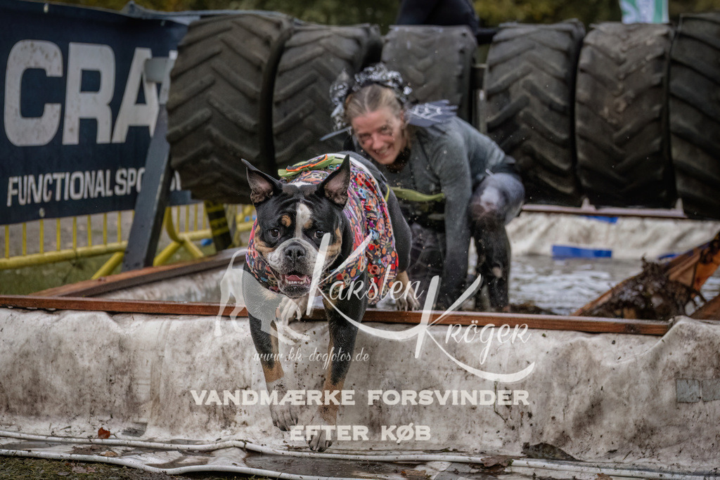 1629_ZZ93545 | kk-dogfotos