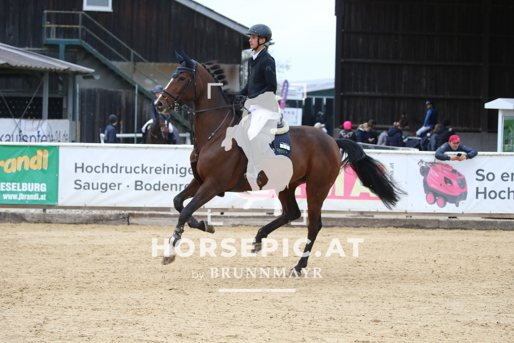 DL2Q3063 | Willkommen bei Brunnmayr - Design & Fotografie – Ihrem Spezialisten für Reitturniere und Pferdeveranstaltungen in Oberösterreich, Salzburg und Bayern! Seit über 17 Jahren sind wir leidenschaftlich dabei.