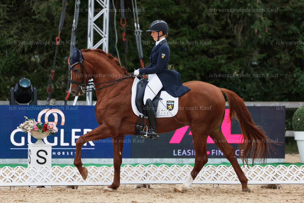 8_1-223-Klasse S_  -StoibPH-3946 | working equitationturnier fotograf videograf stoibphotography marixx film working equitation deutschland reitsport turnierfotografie eventfotografie equestrian events