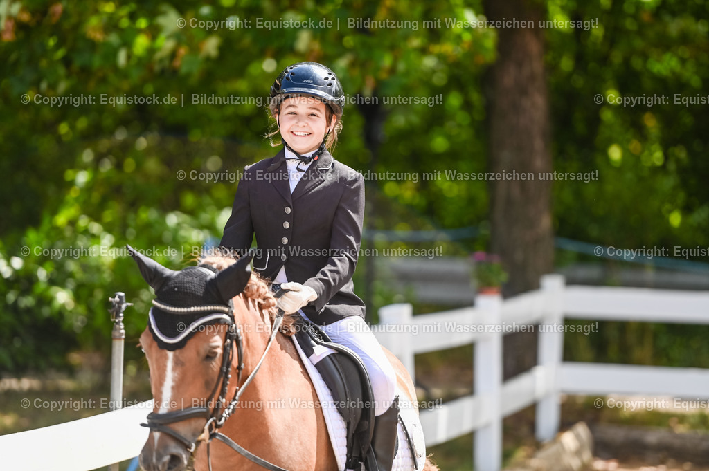 20230716_10-3_Reiter-WB Schritt - Trab - Galopp_0015 | equistock