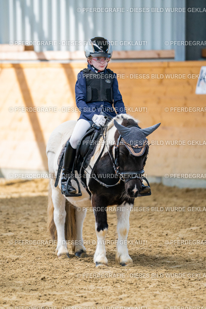 DSC01447 | Pferdegrafie