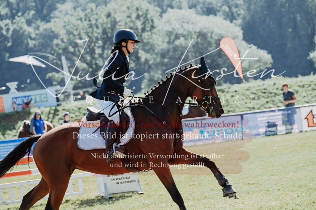 DSC_5555 | Pferde- und Turnierfotografie in Westsachsen. Pferdeportraits, Auftragszeichnungen und intuitive Kunst.