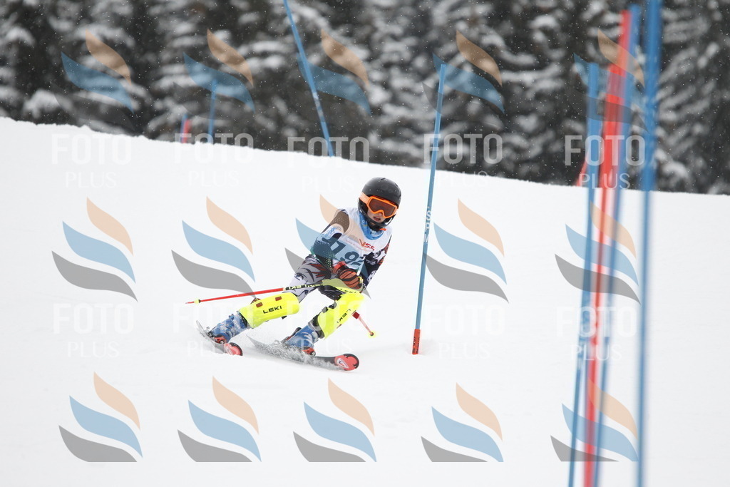 A2081 | holidayphoto