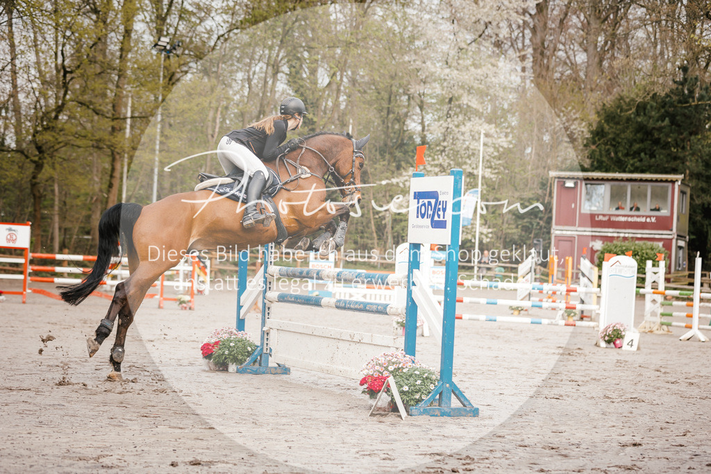 3I6A3178 | Stimmungsvolle Portraits und Reitsportfotografie im Ruhrgebiet und im Münsterland.

Pferdefotografie, Hundefotografie, Tierfotografie, Reportagen, Portraits von Tier und Mensch, Turnierfotografie in Bochum, Recklinghausen, Marl, Haltern am See, Dülmen.. - Realisiert mit Pictrs.com