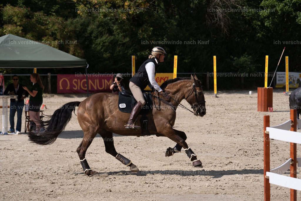 WS_SP_60_SinaFilmArt_IN08622 | working equitationturnier fotograf videograf stoibphotography marixx film working equitation deutschland reitsport turnierfotografie eventfotografie equestrian events