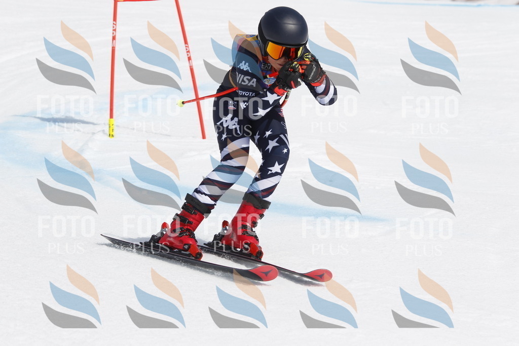 _U3G2239 | holidayphoto