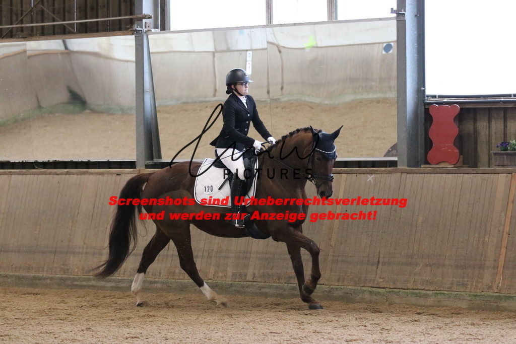 IMG_6393 | lmwpictures - Realisiert mit Pictrs.com